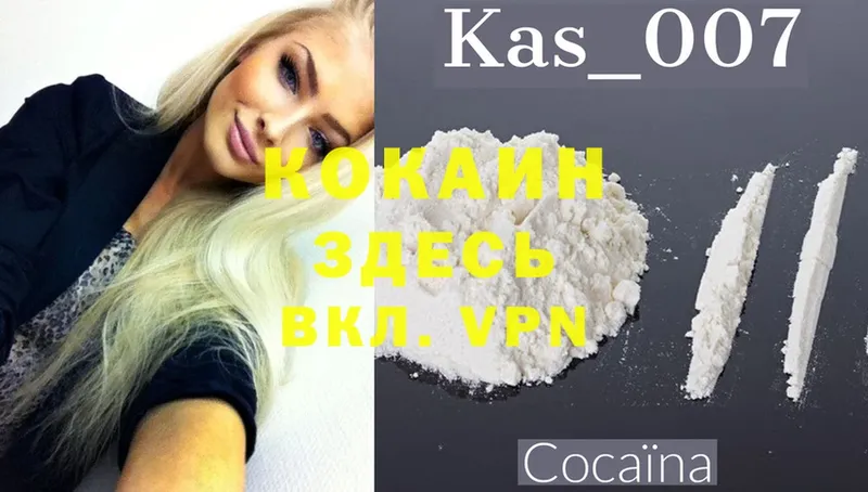 КОКАИН Fish Scale  купить  цена  Козельск 